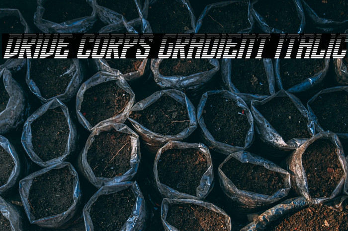 Drive Corps Gradient Italic Example 2