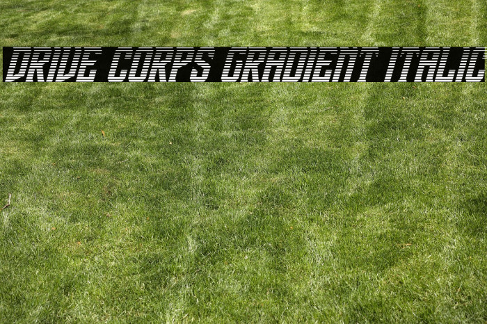 Drive Corps Gradient Italic Example 3