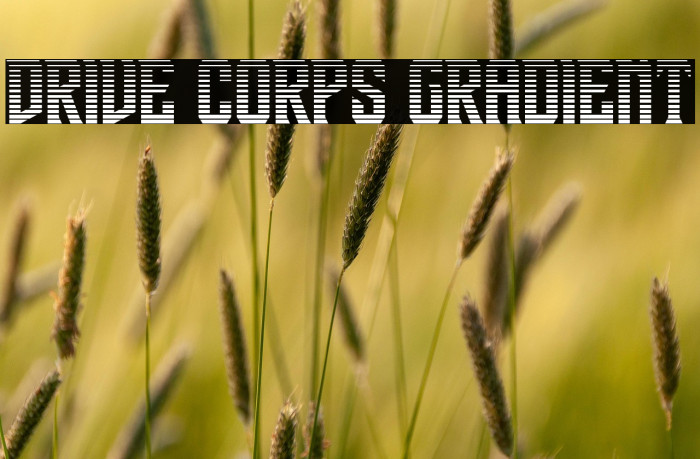Drive Corps Gradient Example 1