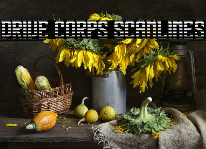 Drive Corps Scanlines Example 1