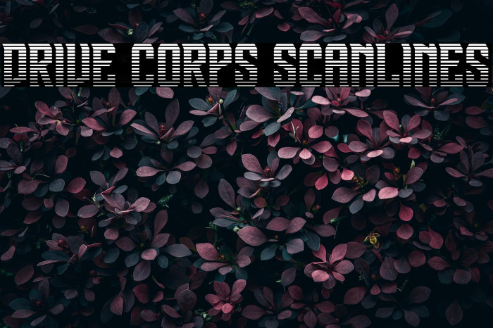Drive Corps Scanlines Example 2