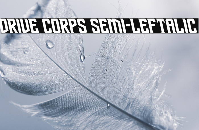 Drive Corps Semi-Leftalic Example 1