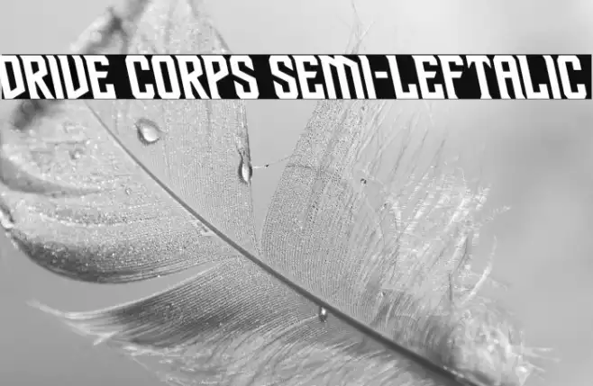 Drive Corps Semi-Leftalic Example 1