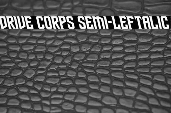 Drive Corps Semi-Leftalic Example 2