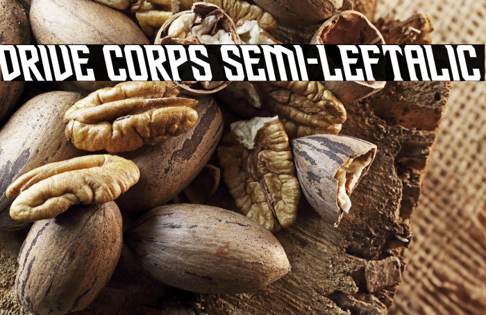 Drive Corps Semi-Leftalic Example 3