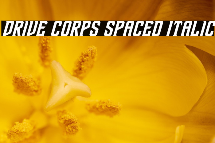 Drive Corps Spaced Italic Example 3