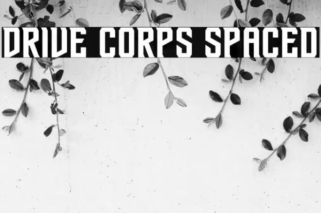 Drive Corps Spaced Font examples
