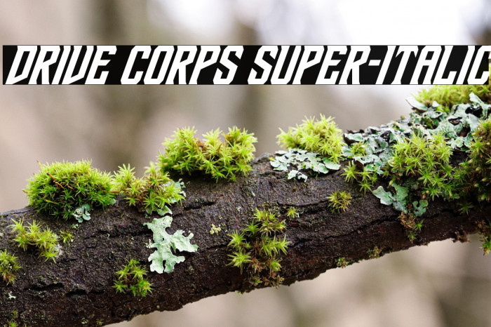 Drive Corps Super-Italic Example 1