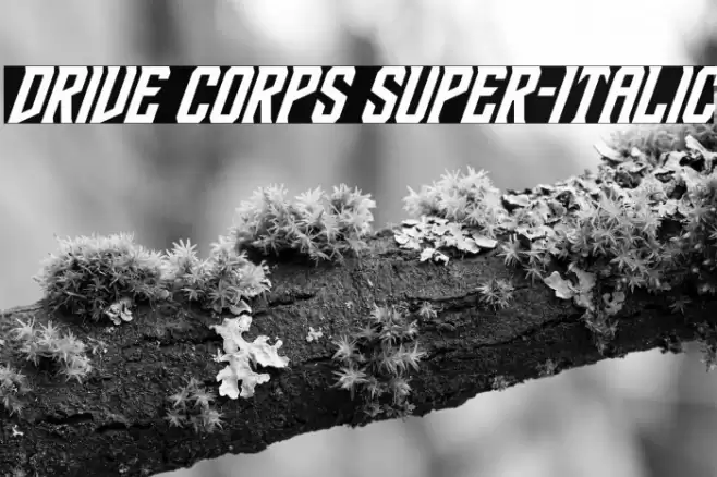 Drive Corps Super-Italic Font examples