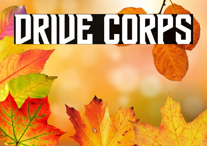 Drive Corps Example 1