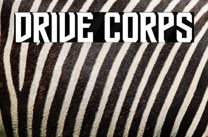 Drive Corps Example 3