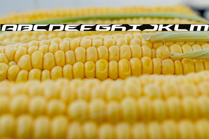 Drive Expanded Italic Example 2