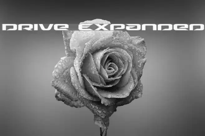 Drive Expanded Font examples