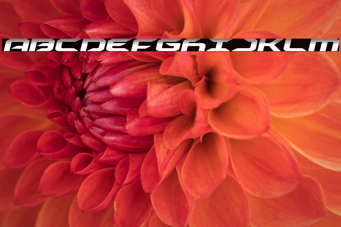 Drive Halftone Italic Example 2