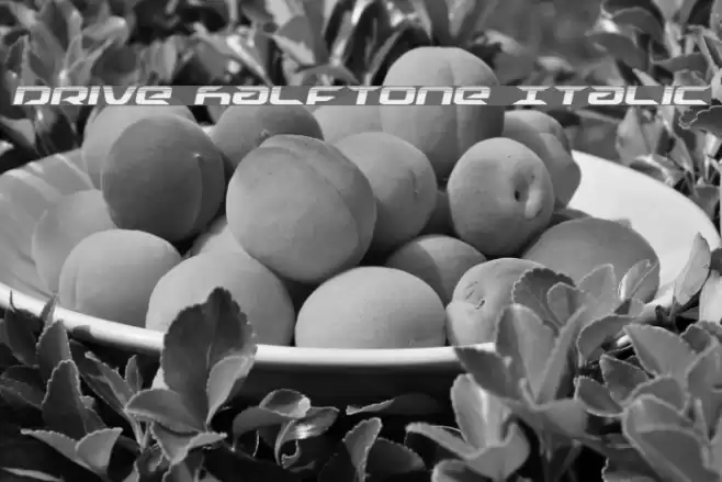 Drive Halftone Italic Font examples