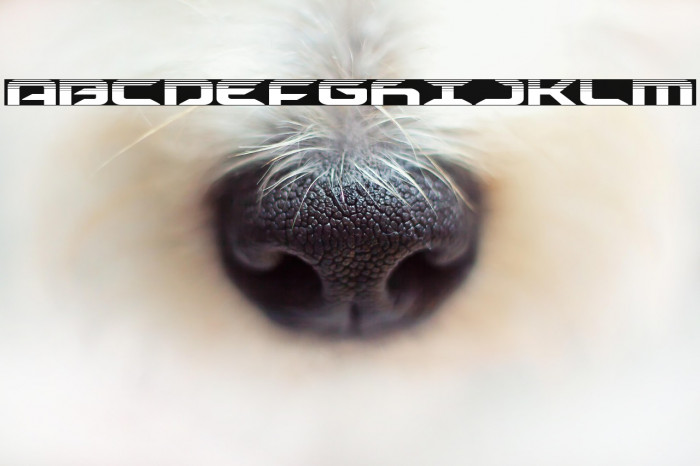 Drive Halftone Example 3