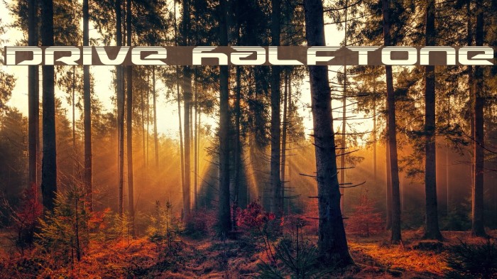 Drive Halftone Example 1