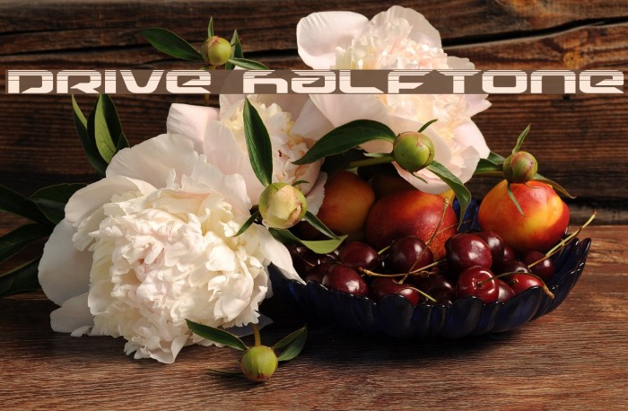 Drive Halftone Example 2