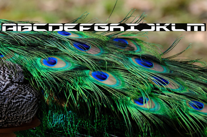 Drive Laser Example 2