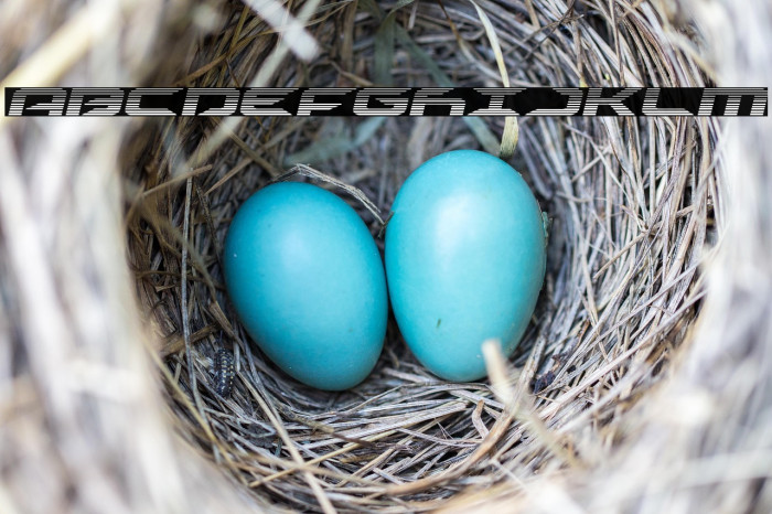 Drive Scanlines Italic Example 3