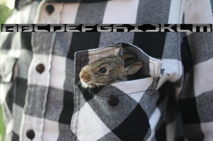 Drive Scanlines Example 2