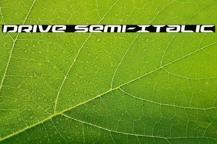 Drive Semi-Italic Example 2