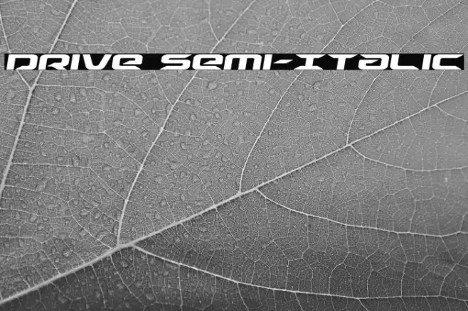Drive Semi-Italic Example 2
