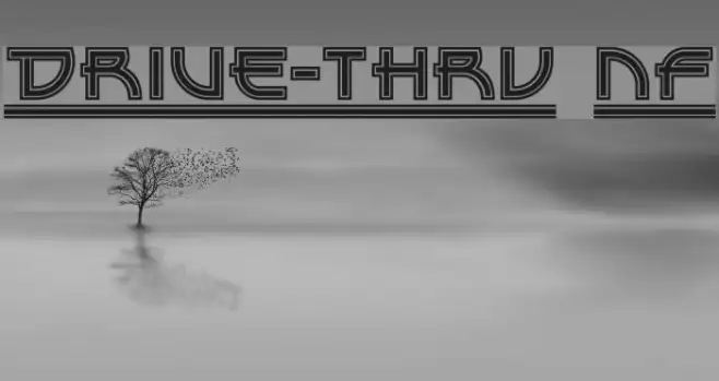 Drive-Thru NF Example 2