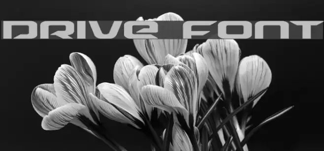 Drive Font examples
