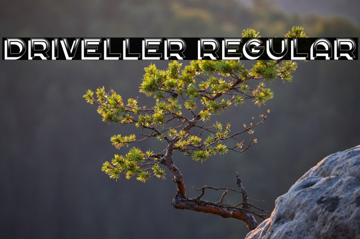 Driveller Regular Example 1