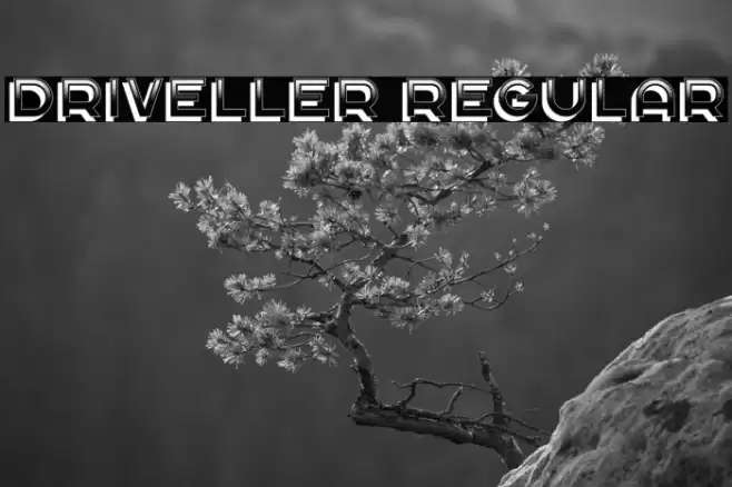 Driveller Regular Caratteri examples