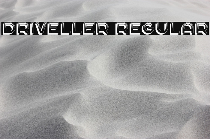 Driveller Regular Example 2