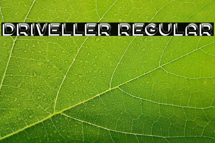 Driveller Regular Example 3