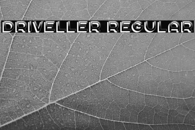 Driveller Regular Caratteri examples