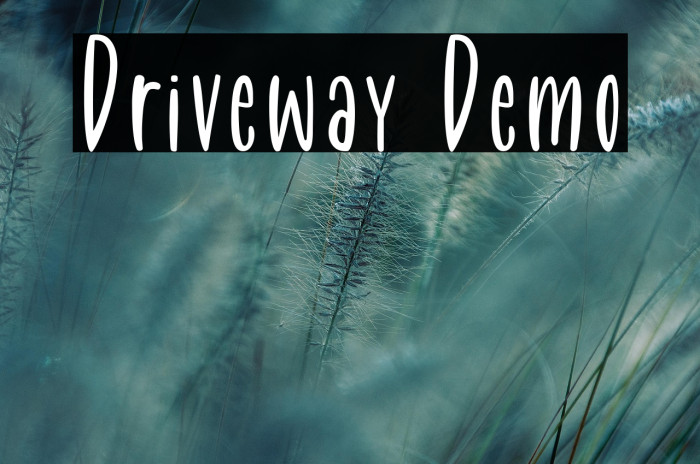 Driveway Demo Example 1