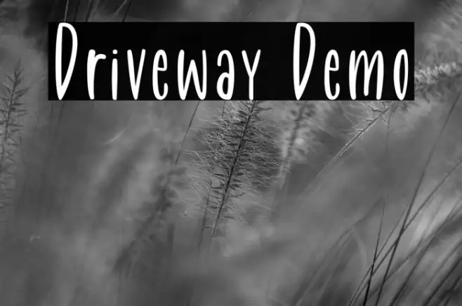 Driveway Demo Example 1