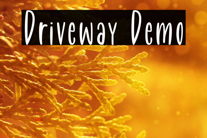 Driveway Demo Example 2