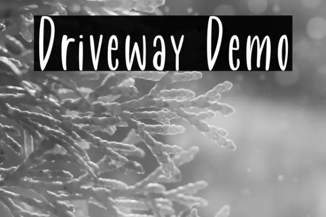Driveway Demo Example 2