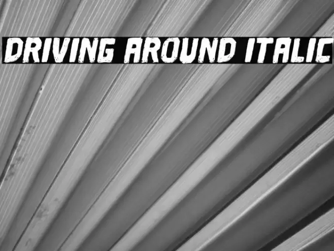 Driving Around Italic Font examples