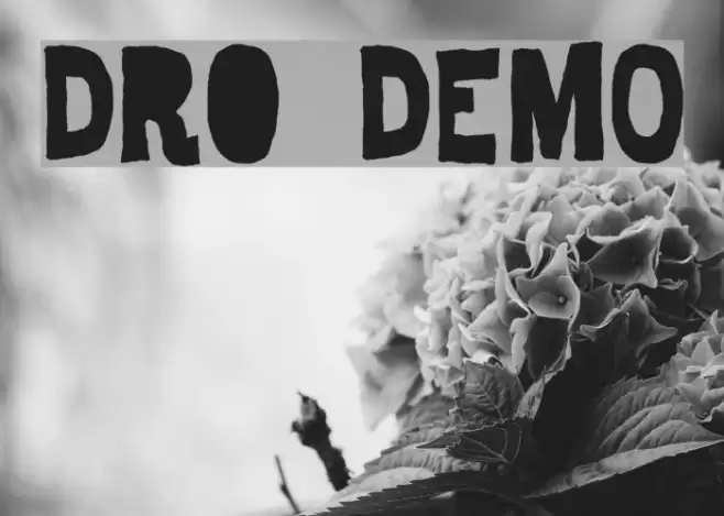 Dro DEMO Font examples