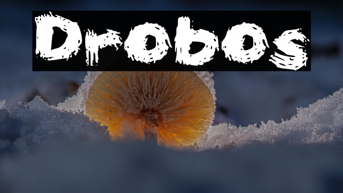 Drobos Example 1