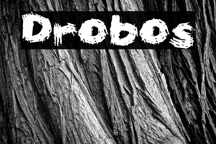 Drobos Example 2