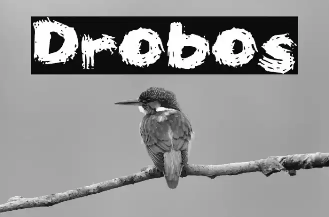 Drobos Font examples