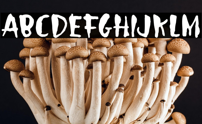 Droeming Normal Example 3