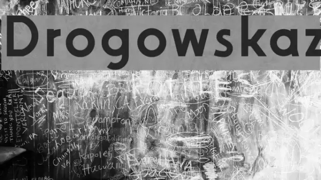 Drogowskaz Polices examples