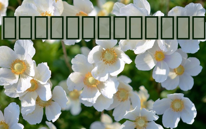 Droid Arabic Kufi Bold Font examples