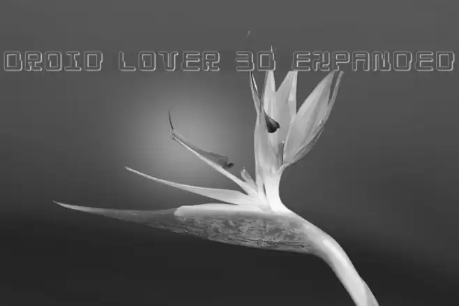Droid Lover 3D Expanded خط examples
