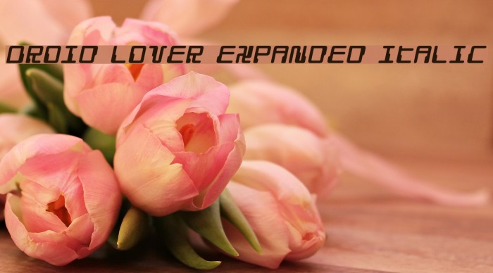 Droid Lover Expanded Italic Font examples
