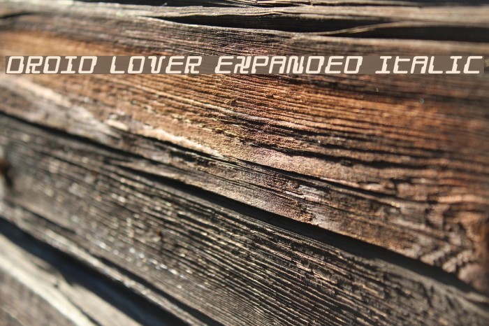 Droid Lover Expanded Italic Font examples