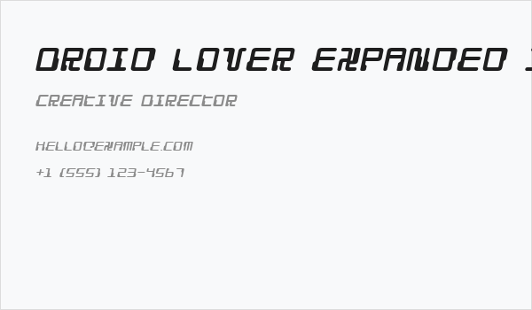Droid Lover Expanded Italic Business Card